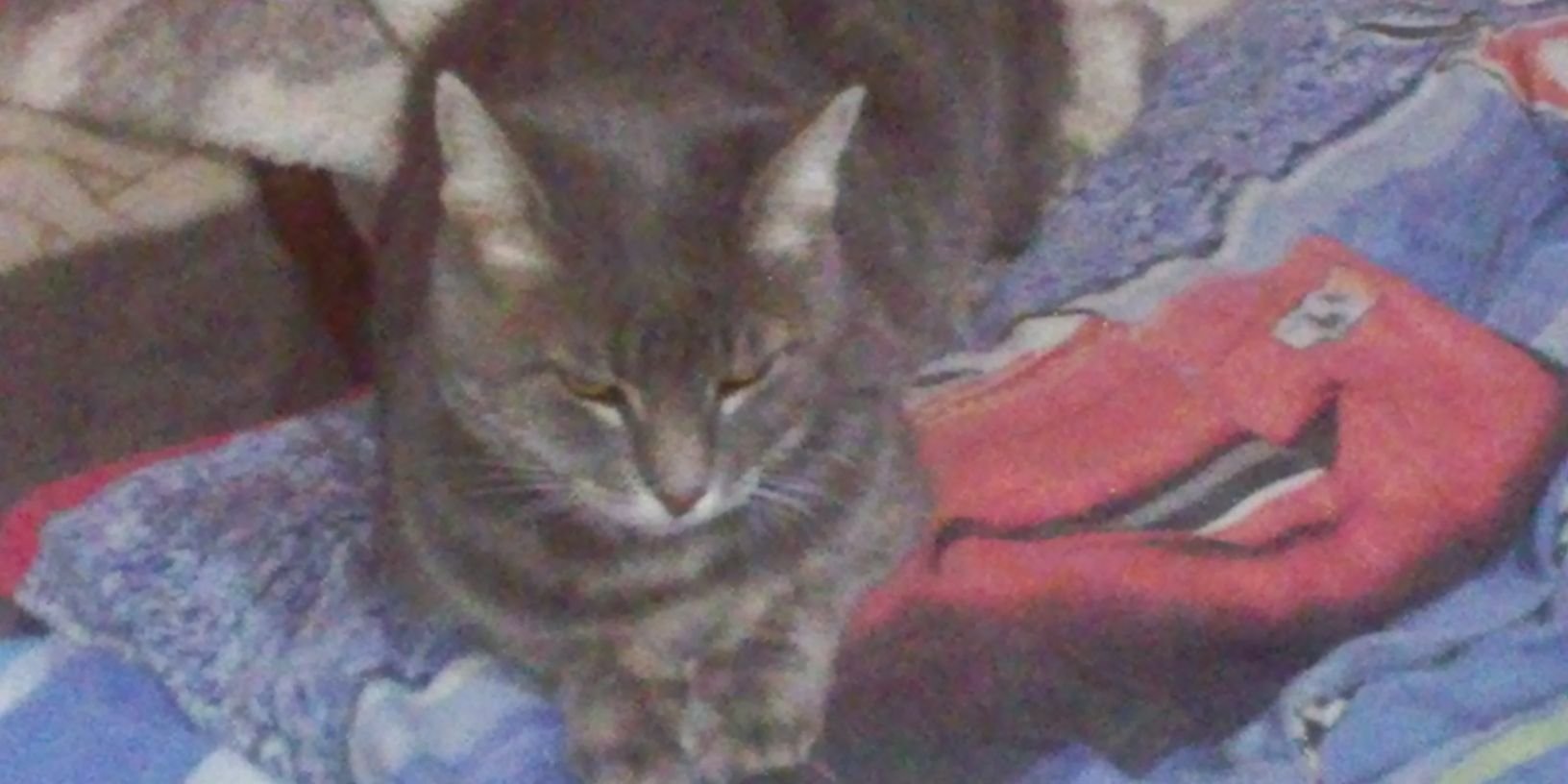 1977lore's profile banner image
