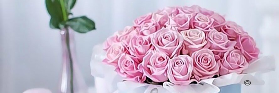 ﮼فلاح ﮼السبيعي banner