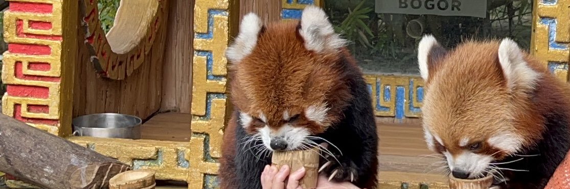 memeng rosdiyana banner