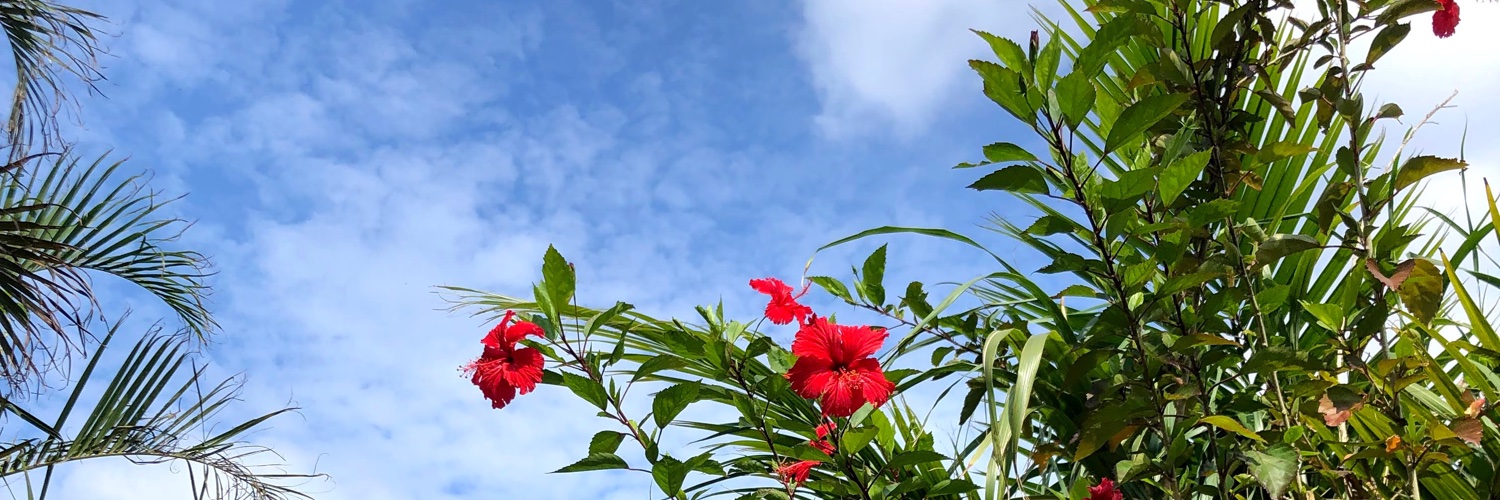ayakabuto's profile banner image