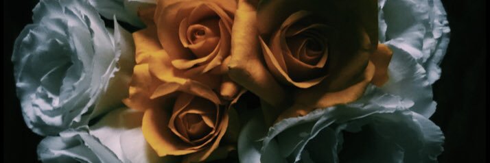 r_pinkbear's profile banner image