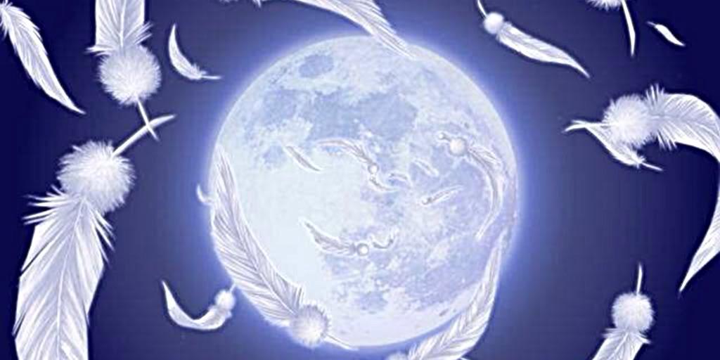 Fallen_Sparrow0's profile banner image