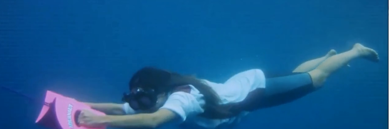 nautboard's profile banner image