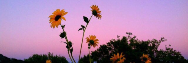 ajn_xx's profile banner image