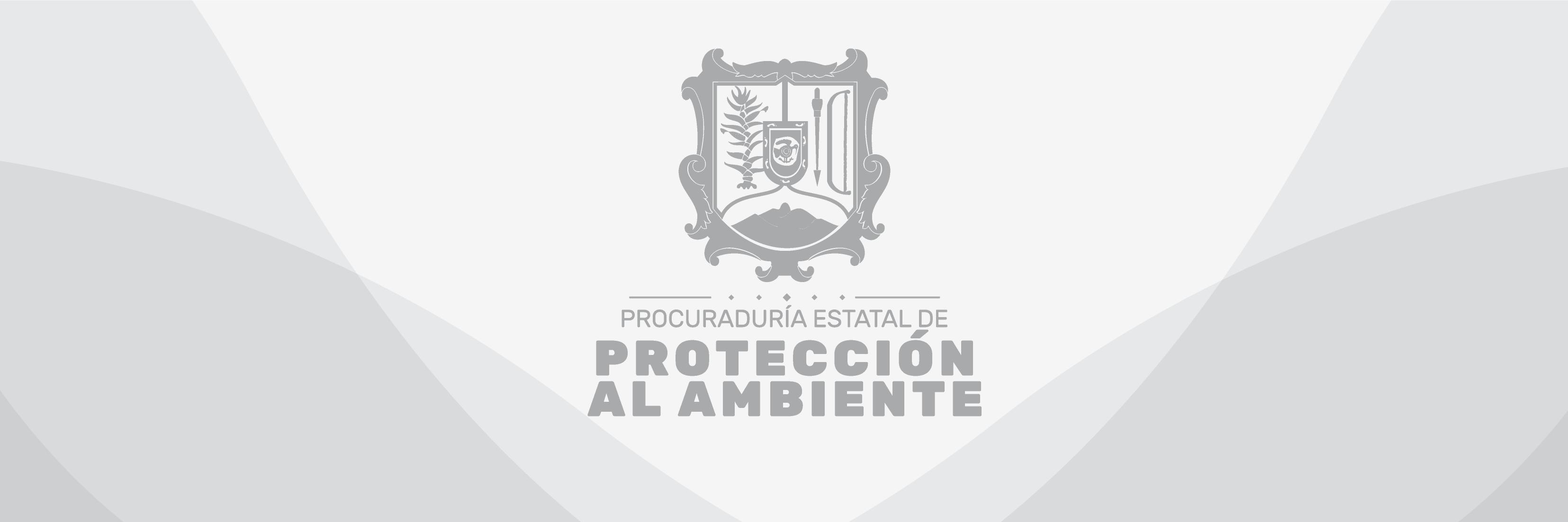 proepanayarit's profile banner image