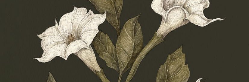 loriannnnn17's profile banner image
