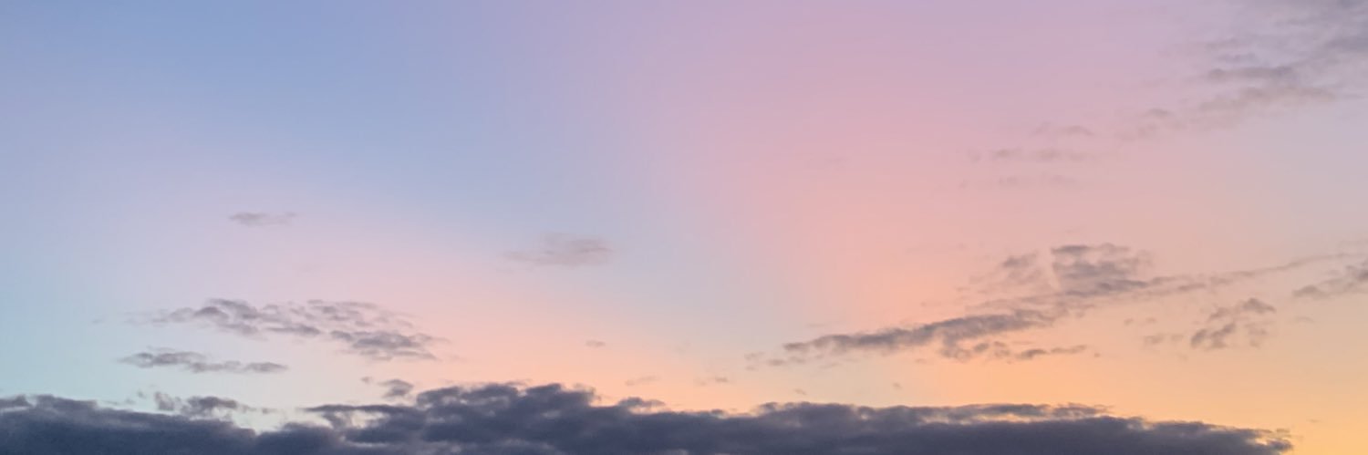 livcipolla's profile banner image