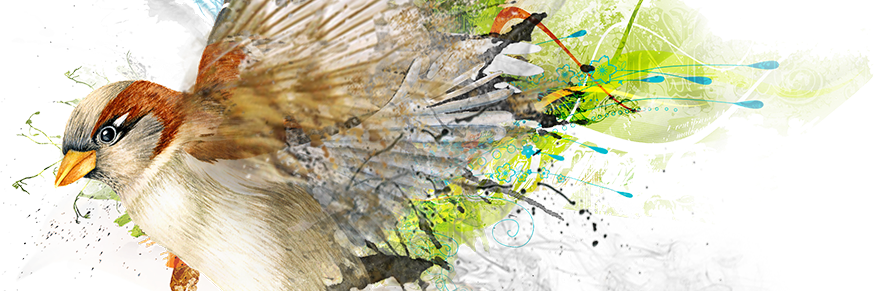 GargS2009's profile banner image