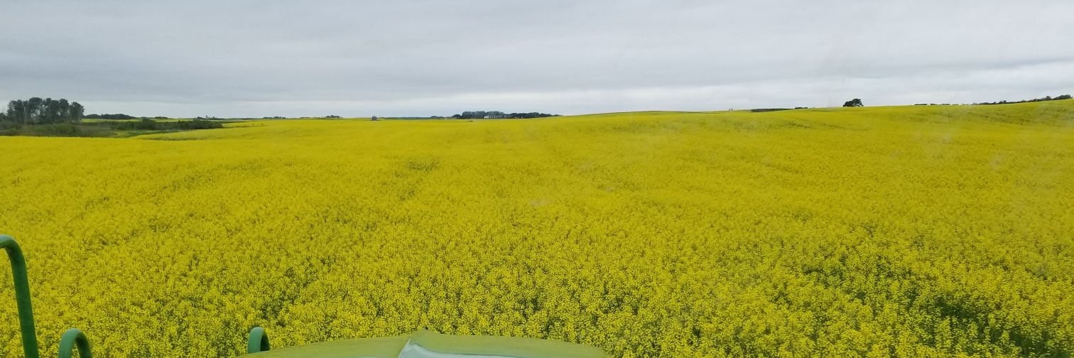 redpathfarms's profile banner image