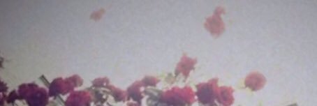 Reiko_Inokami's profile banner image
