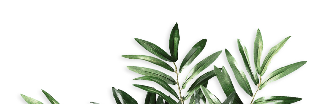 Eco_Earthling's profile banner image