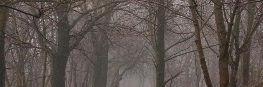 kat_kiddy's profile banner image