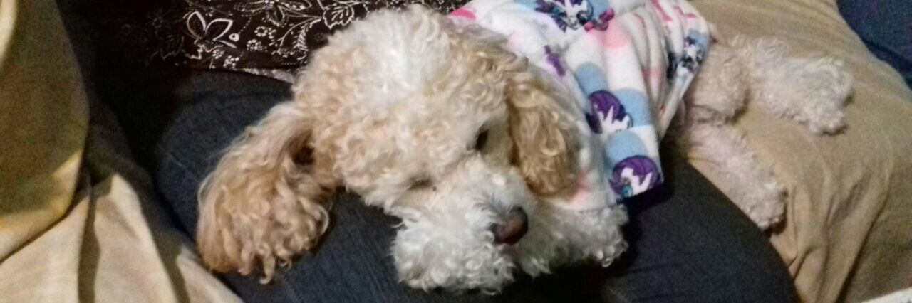 labra_isabel's profile banner image