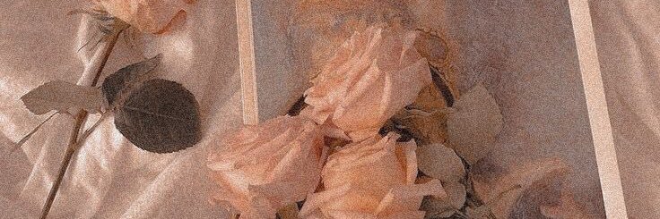 Yllegna97's profile banner image