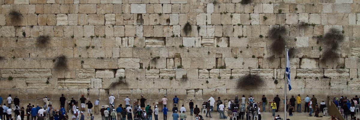 AIMeMTorah's profile banner image