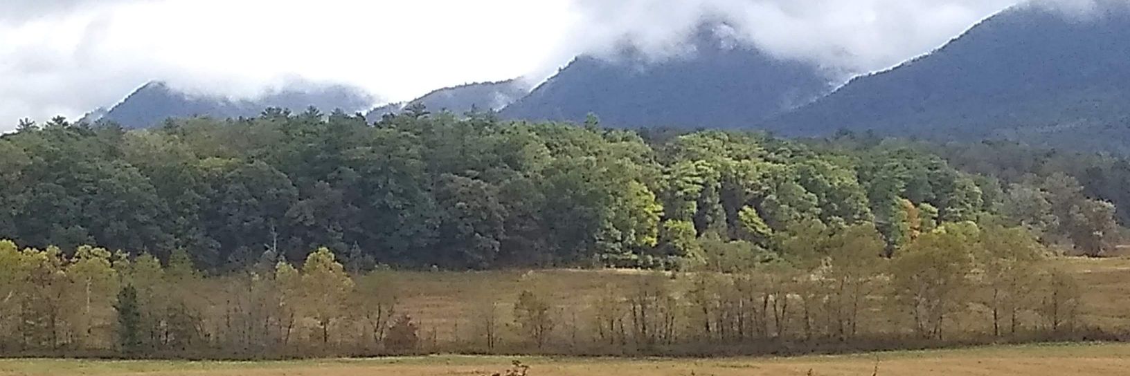 Thomas Thurston banner