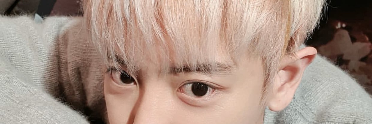 MeiLoey's profile banner image