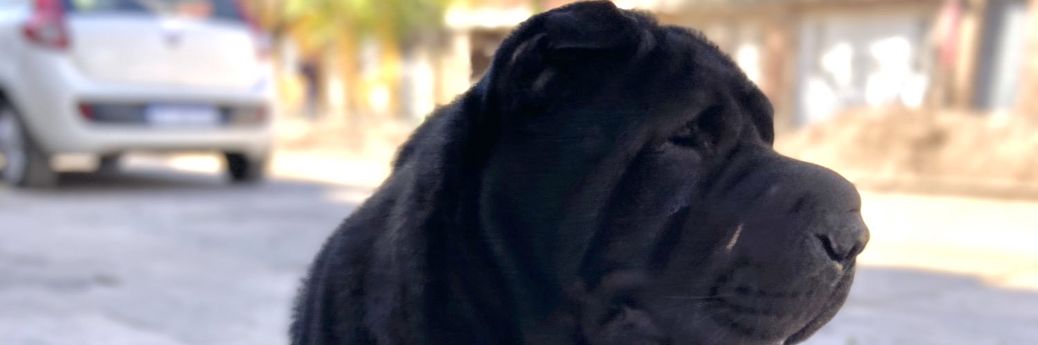 maxiifern's profile banner image