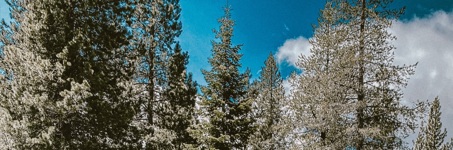 venessssaaaa's profile banner image