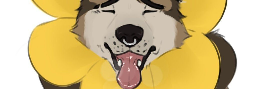 Castian_stuffAD's profile banner image