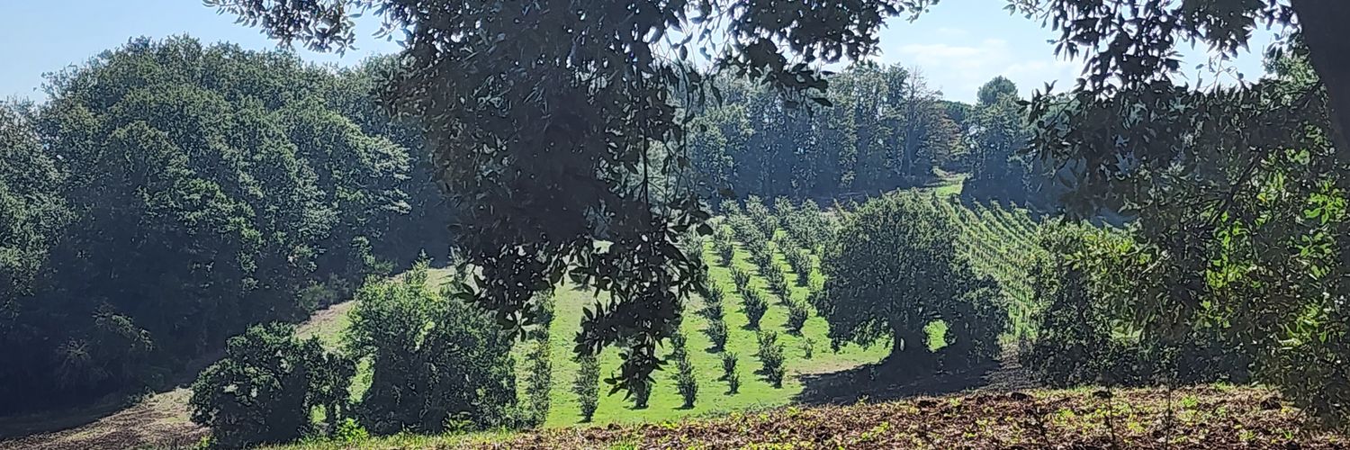 KevinJanusz's profile banner image