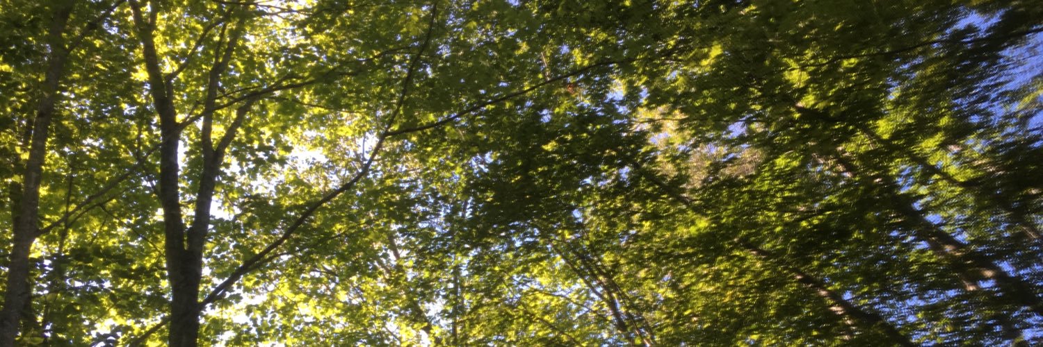ktjak's profile banner image