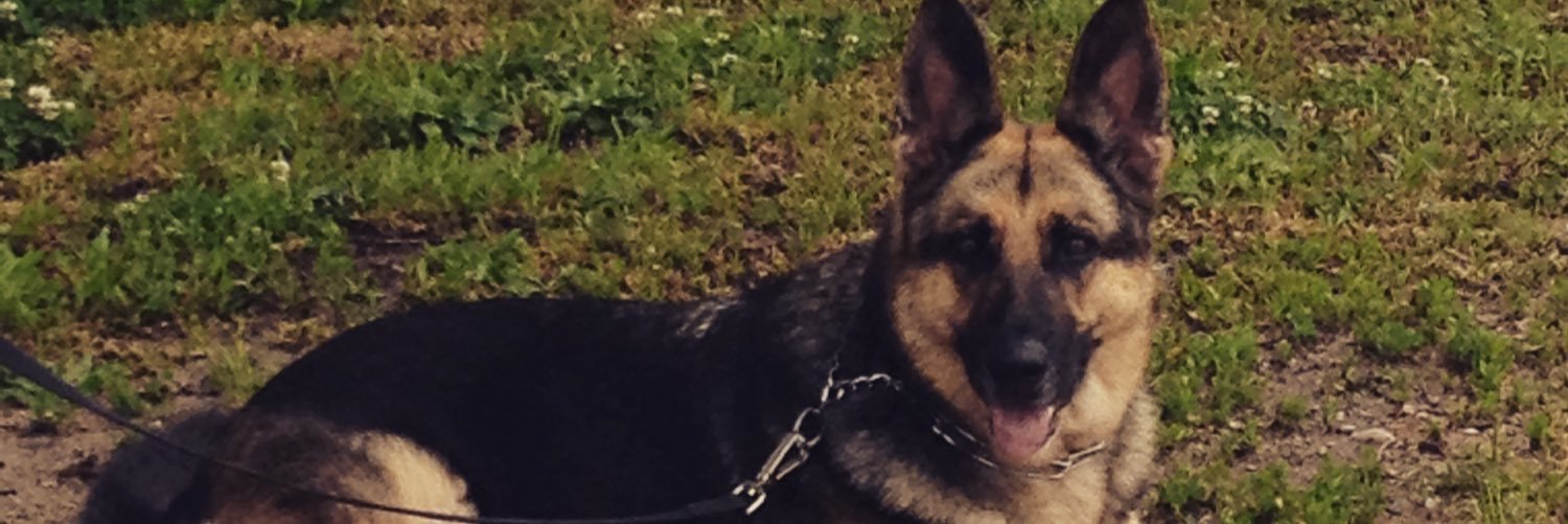BinzKelly's profile banner image