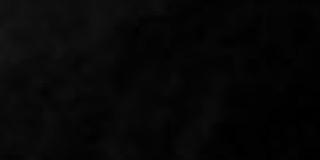 ddlbutterfly's profile banner image