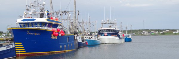 BarbDeanSimmons Profile Banner