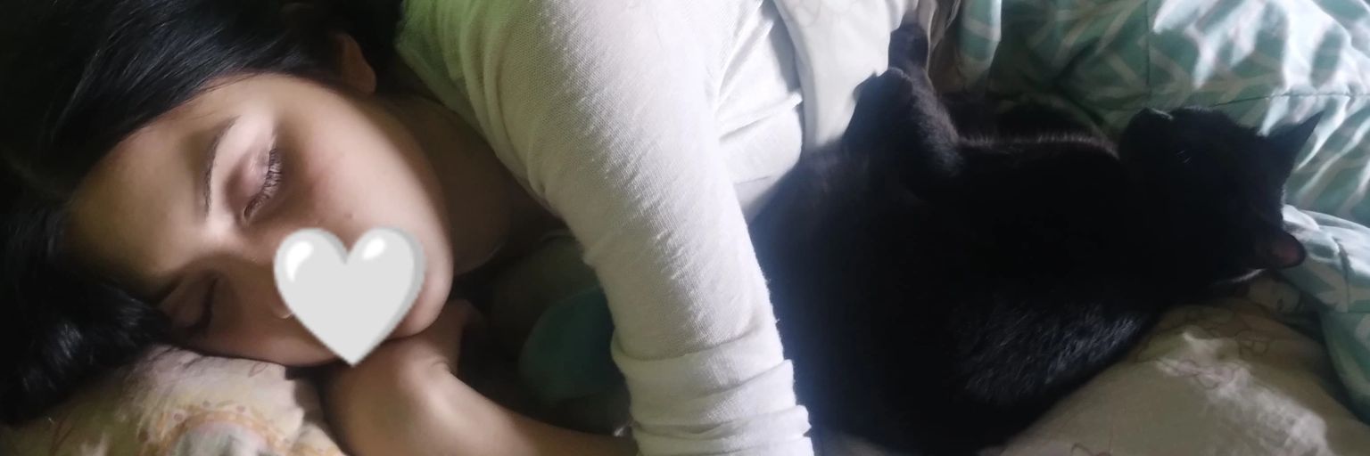 noevaira's profile banner image