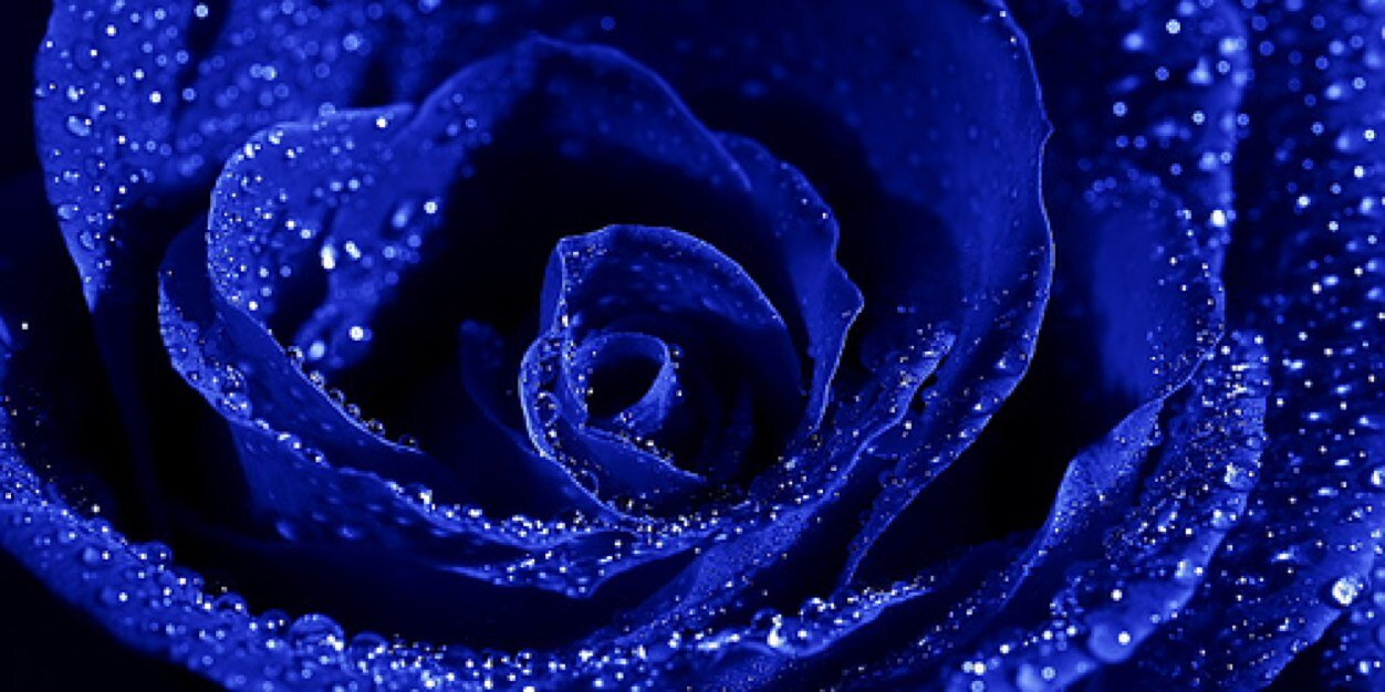 RachLer's profile banner image