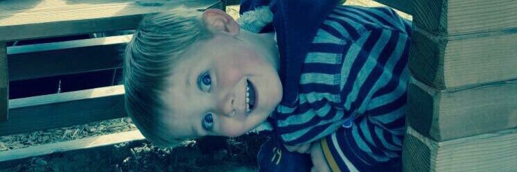 Sarah Roebuck banner