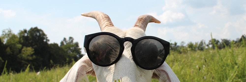LittleSeedFarm's profile banner image