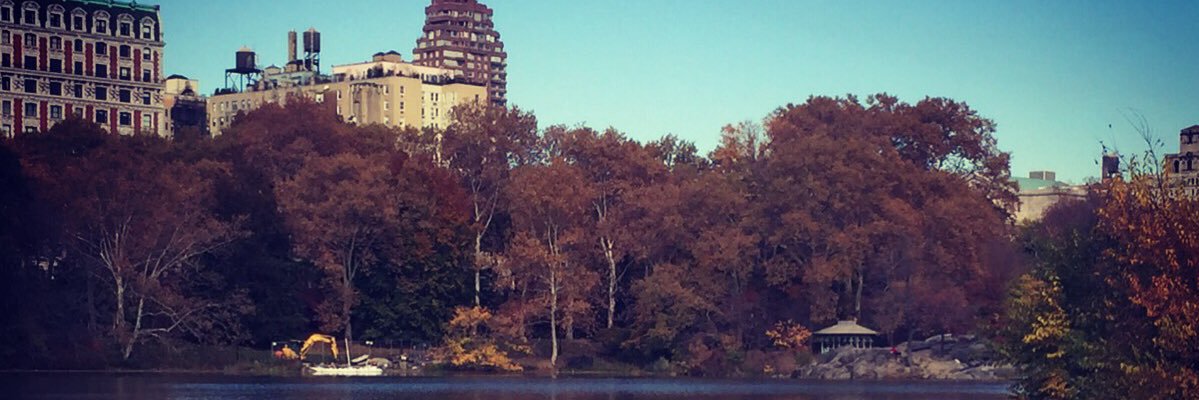 CameronLanda's profile banner image