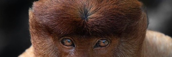 Claire_Col Profile Banner