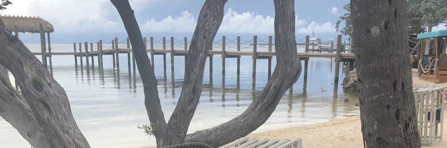 Albion_Parrot's profile banner image