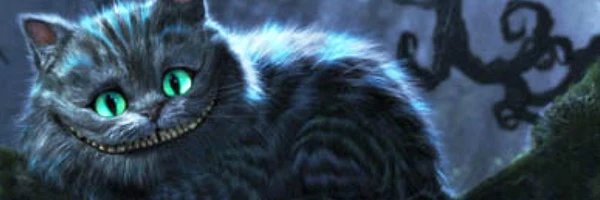 rawrawrawrarrrr's profile banner image