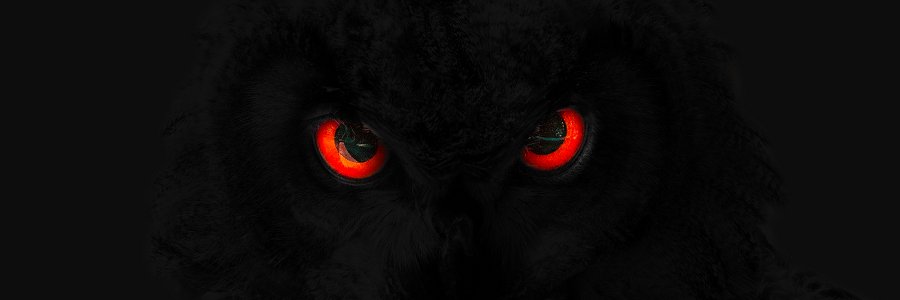 Dashowl's profile banner image