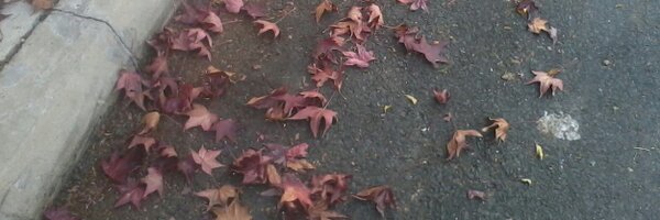 FadiAbuDeeb Profile Banner