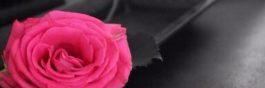 Ian_Moone_15's profile banner image