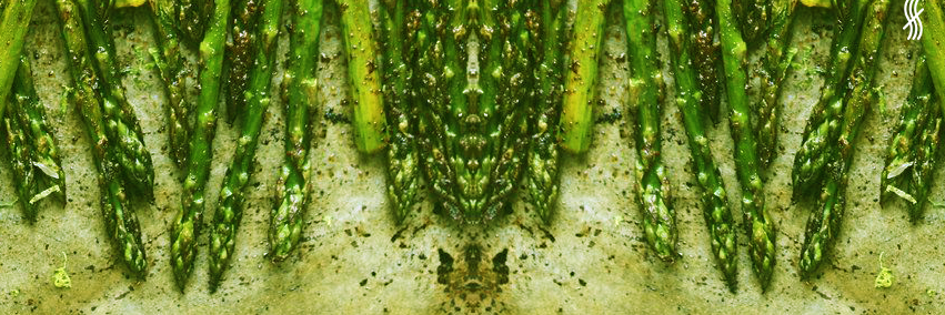 lasanisima's profile banner image