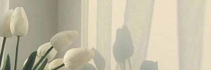 _a3_hm's profile banner image