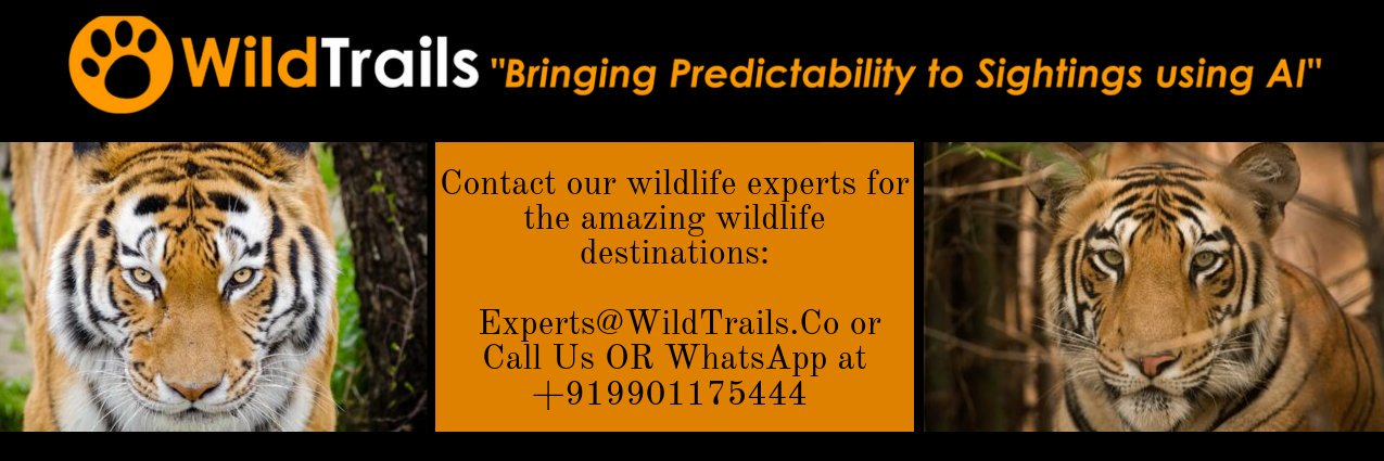 _WildTrails's profile banner image