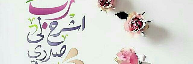 n_qllp's profile banner image