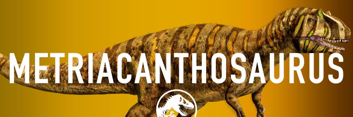 Dauntless_Asher's profile banner image