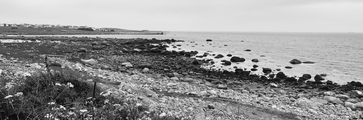 Trine Kolbjørnsen banner