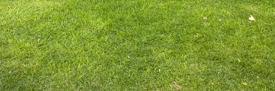 Cristtofer_'s profile banner image