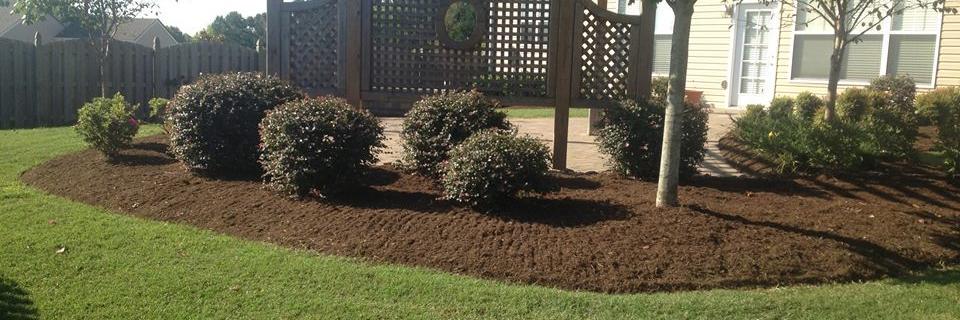 shrubbarber's profile banner image