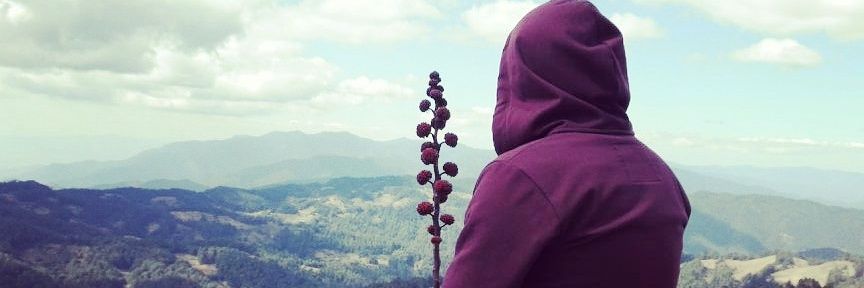 Beneqyu's profile banner image