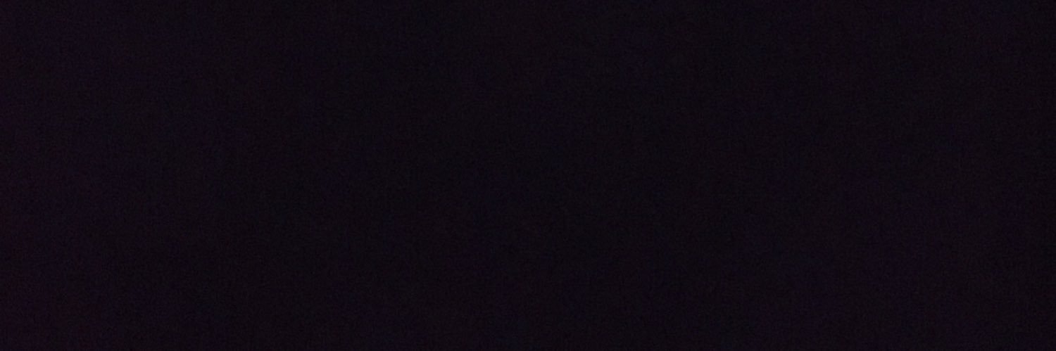 lavishlee0's profile banner image